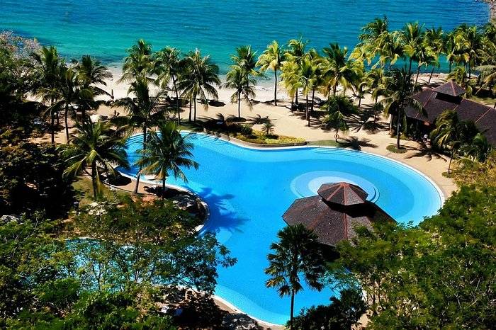 aerial view of resort pool with palm trees 
