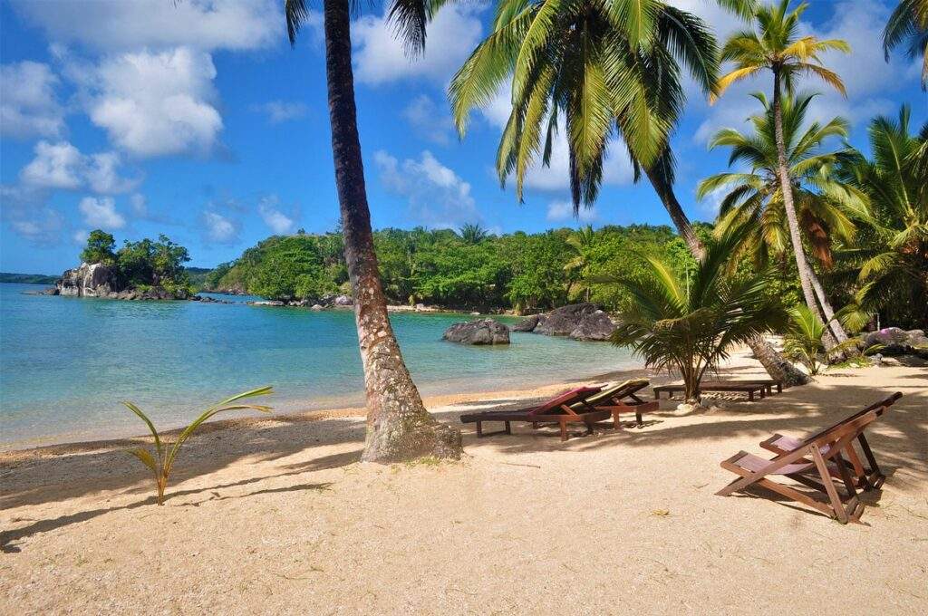 beach with palm trees