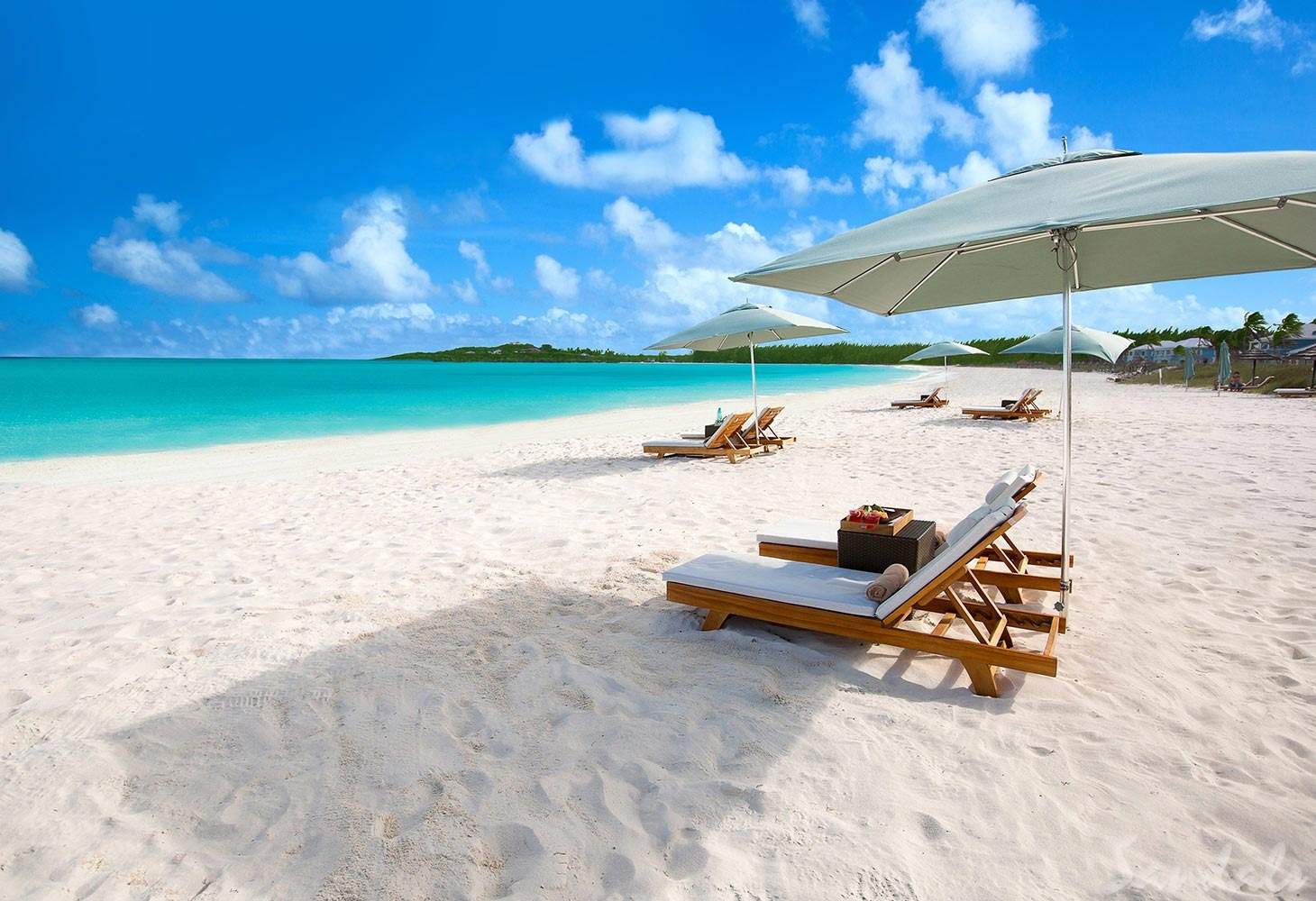 multiple lounge chairs on white beach