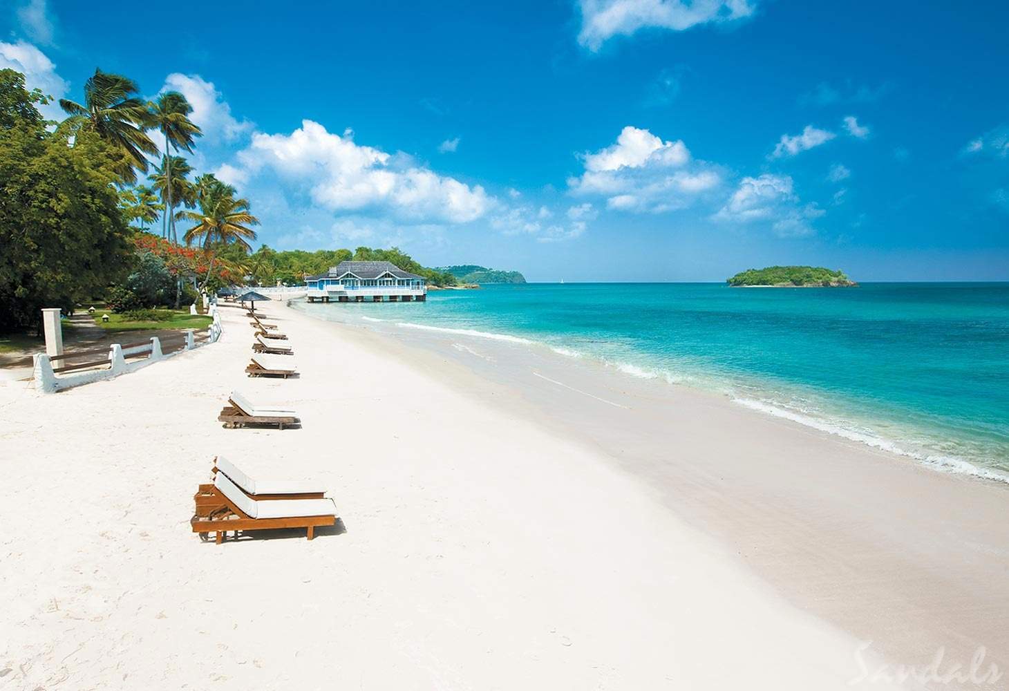 clear beach with lounge chairs