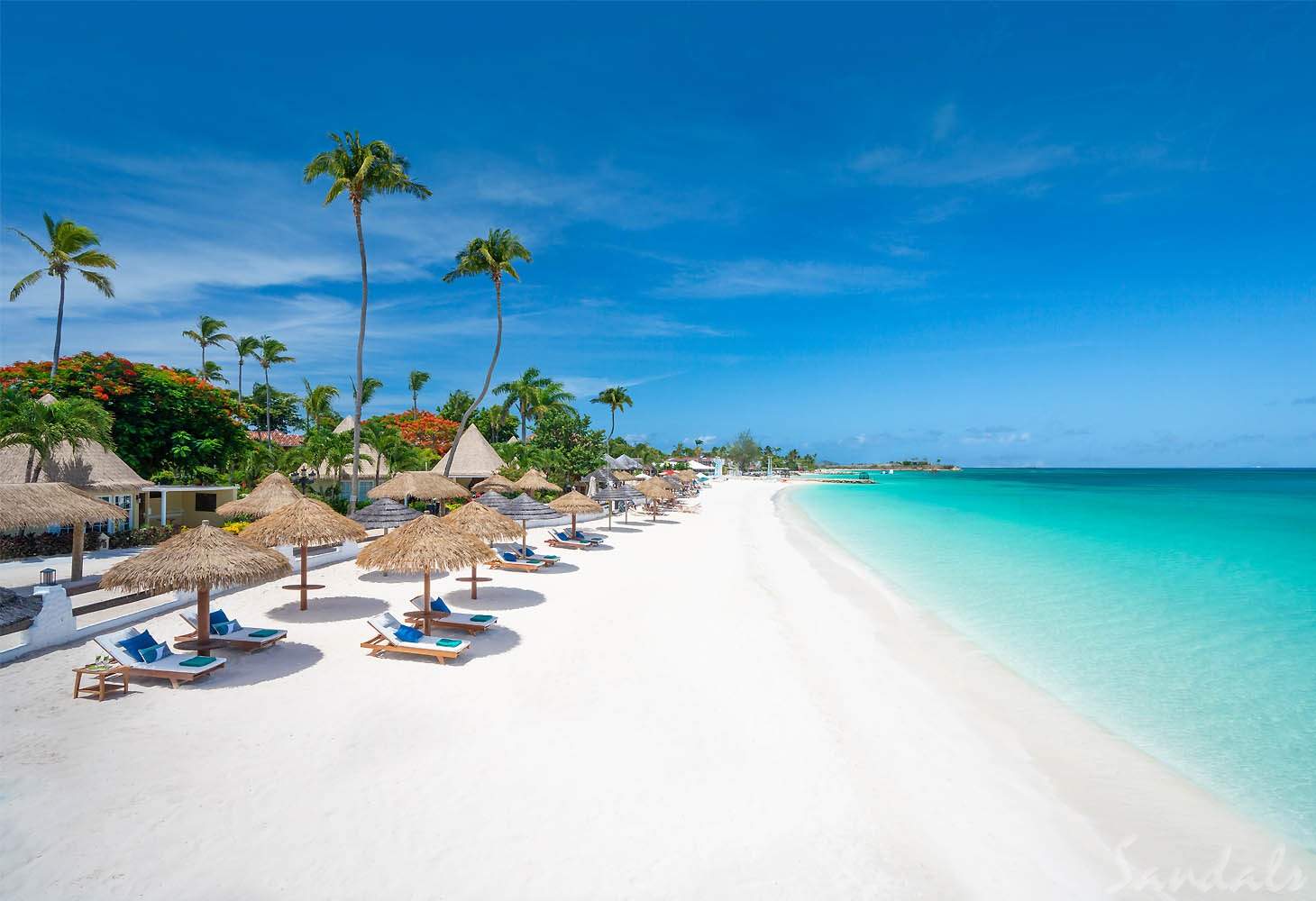 beach with umbrellas