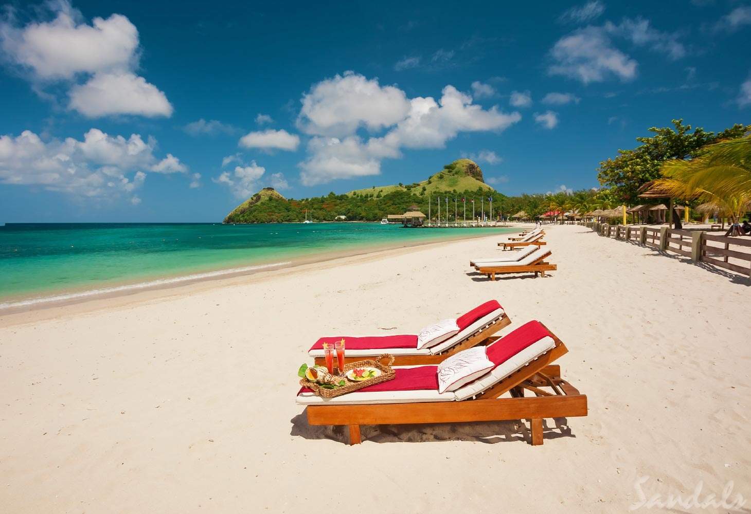 multiple lounge chairs on the beach
