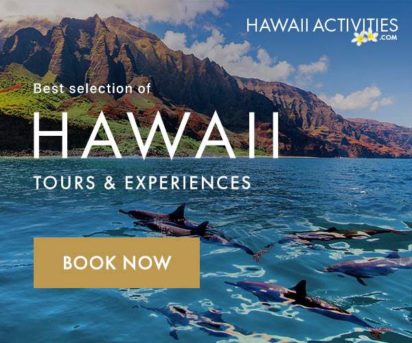 advertisement dolphins in water