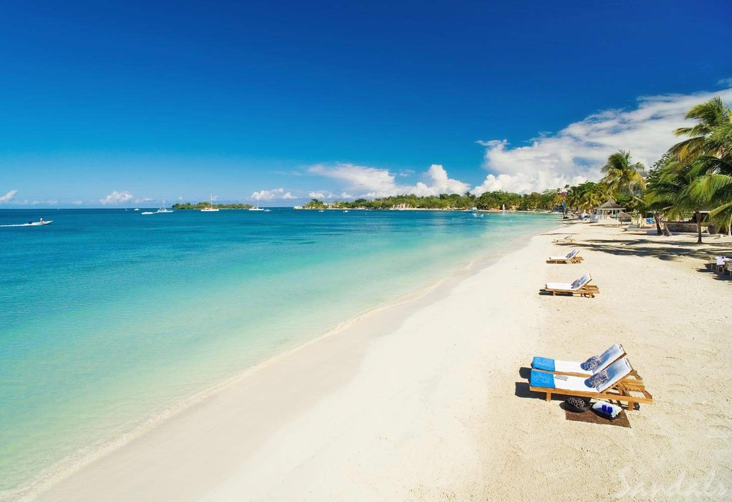 lounge chairs on beach