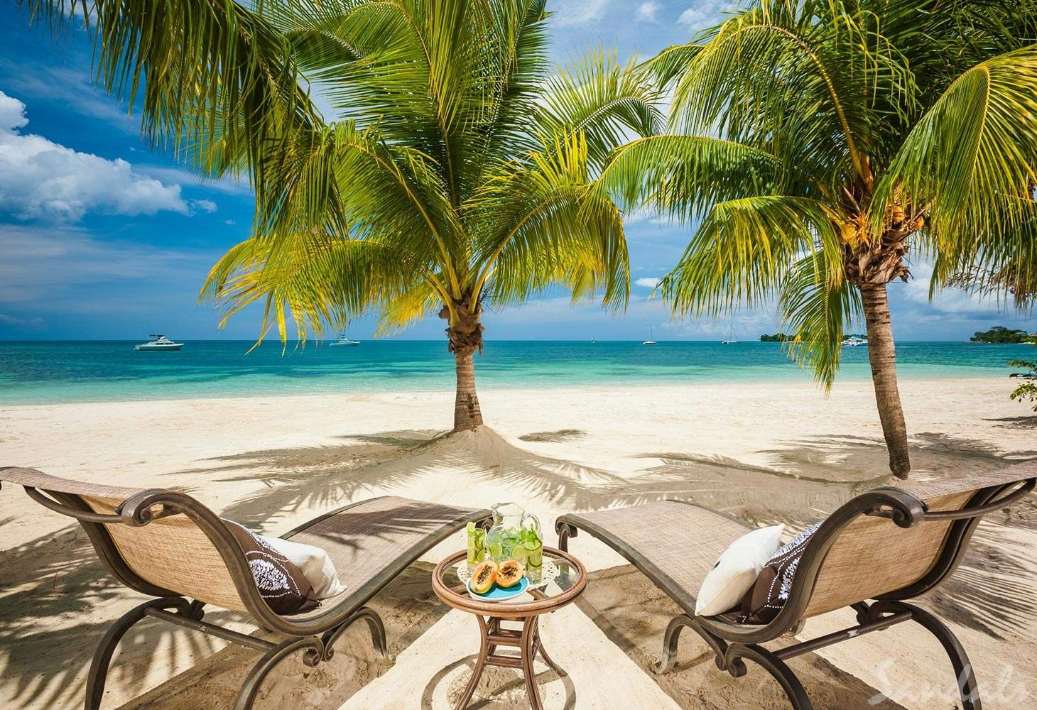 two chairs under palm trees