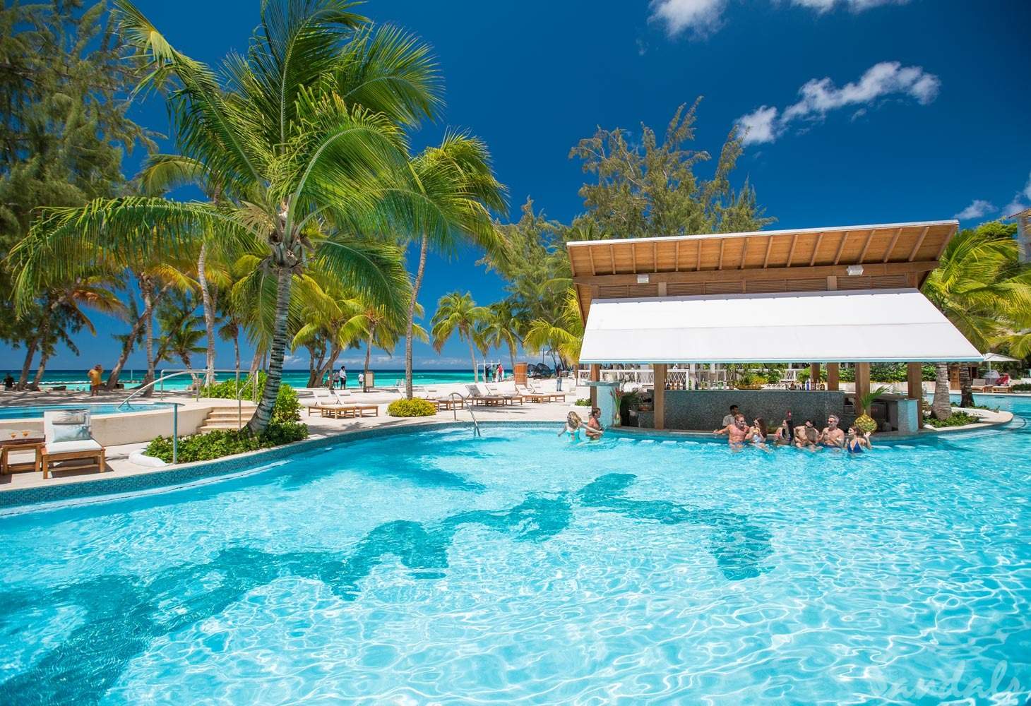 tropical resort pool
