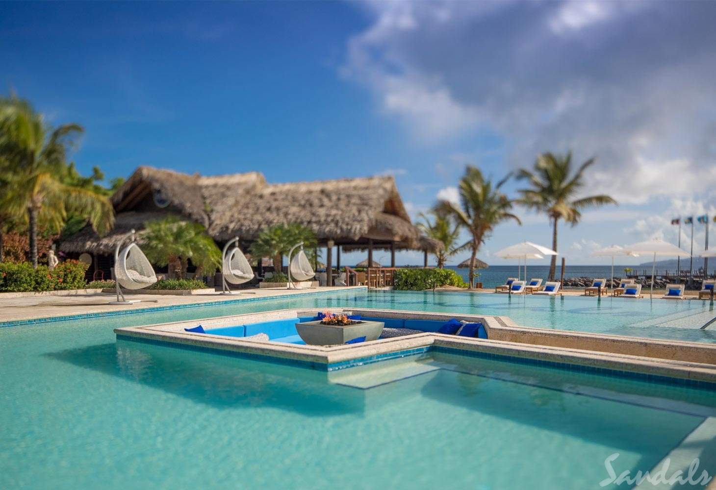 square pool with palm trees