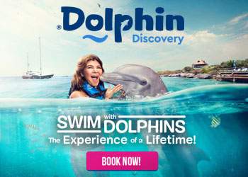advertisement woman with dolphin