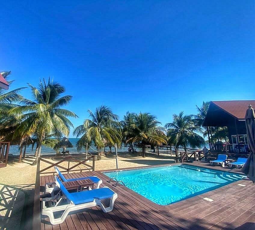 square resort pool with palm trees
