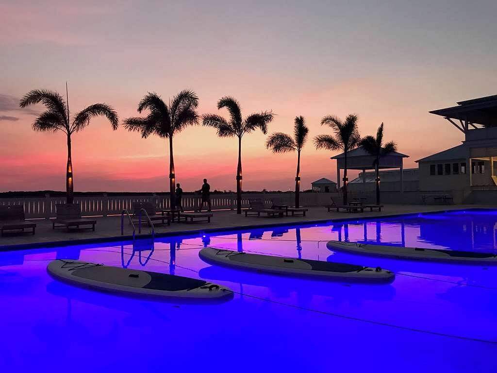 purple resort pool surrounded by palm trees at sunset