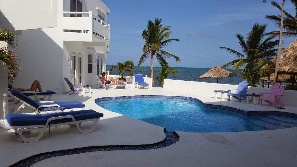 oval shaped resort pool with palm tree