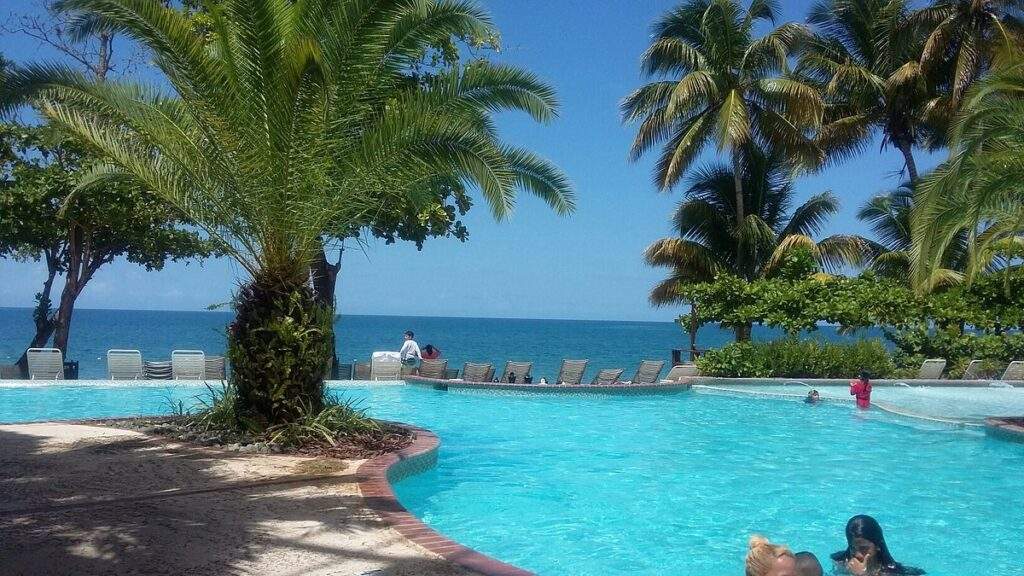 large resort swimming pool with palm trees