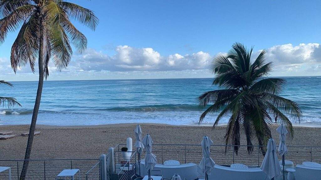 palm trees on beach with white furniture