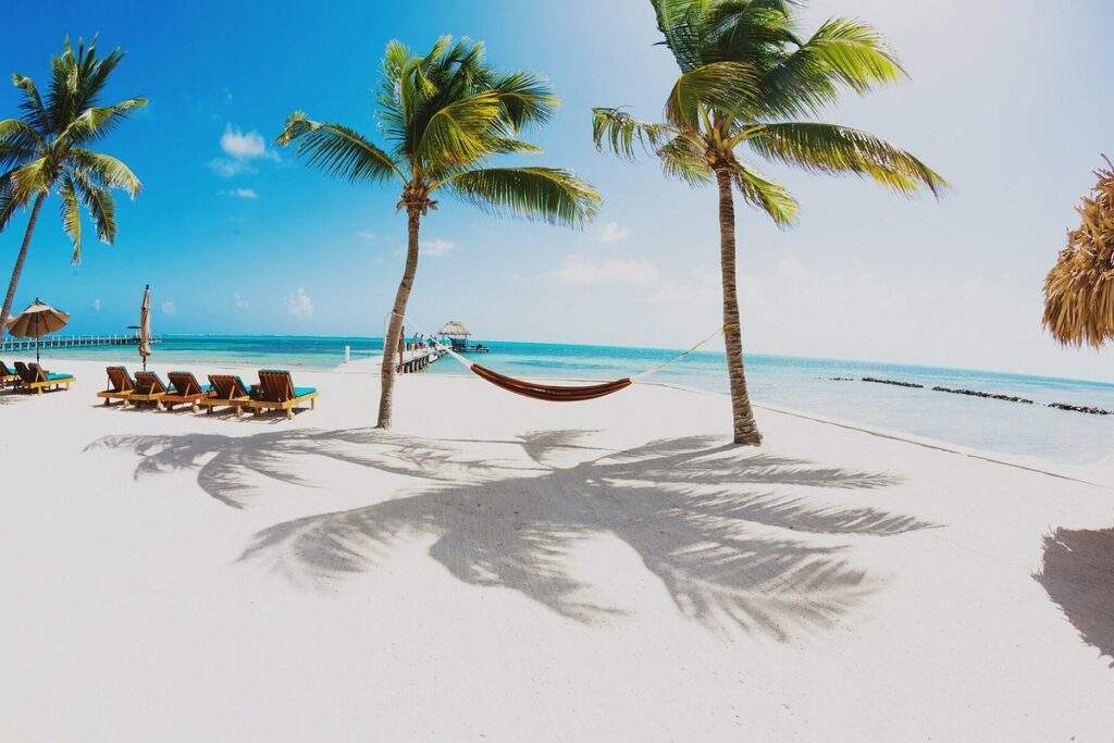 hammock between two palm trees on white sand beach