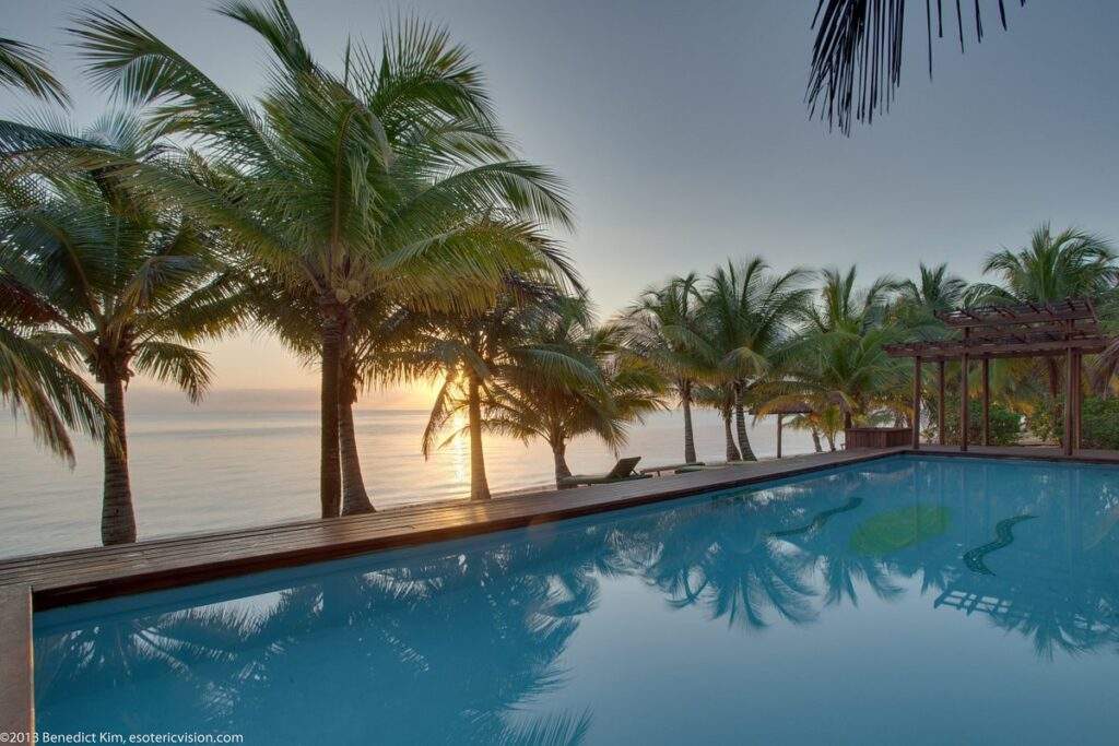 palm tree lined resort pool
