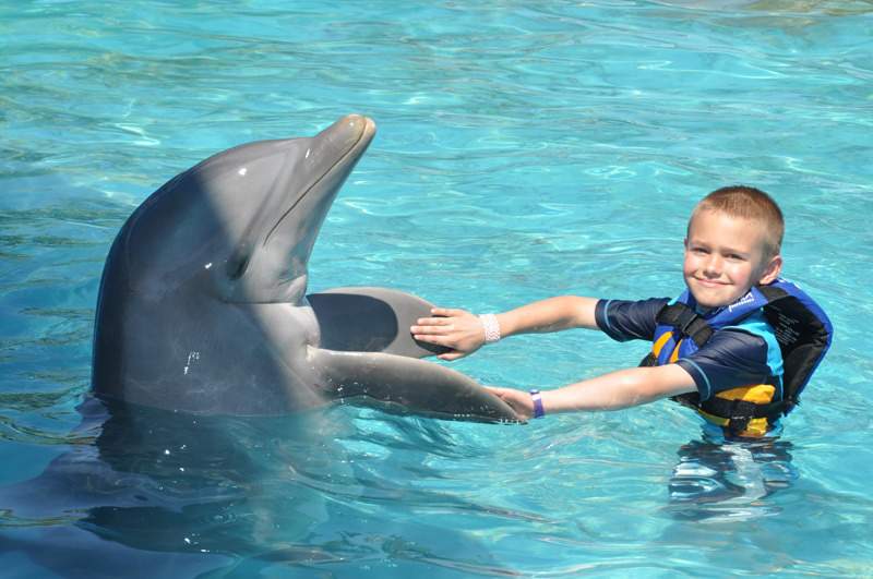 little boy holding dolphin fins