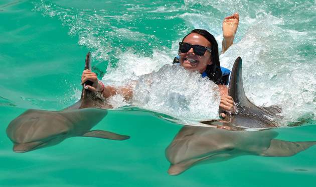 woman riding on two dolphin fins