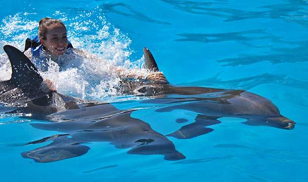 young girl riding on two dolphins