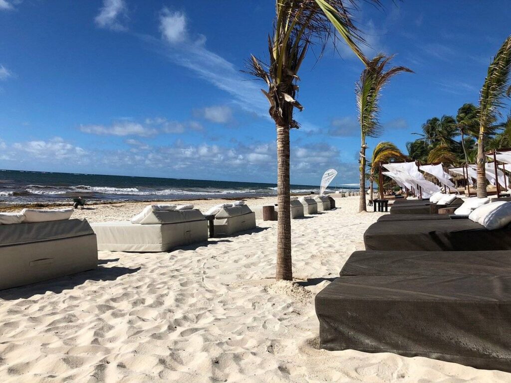 lounge chairs on beach with palm trees