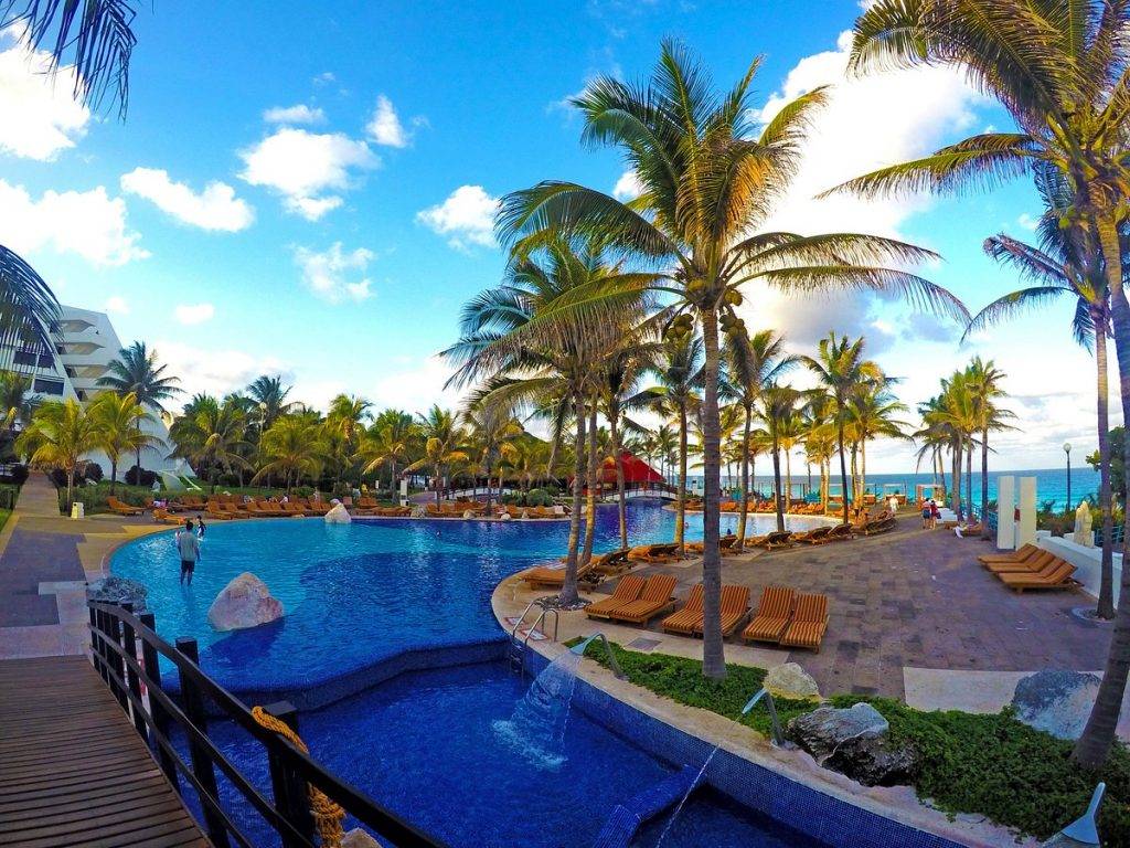 irregular shaped resort pool with large palm trees