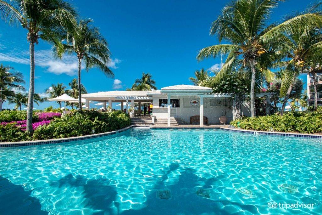 large pool with palm trees and building in back