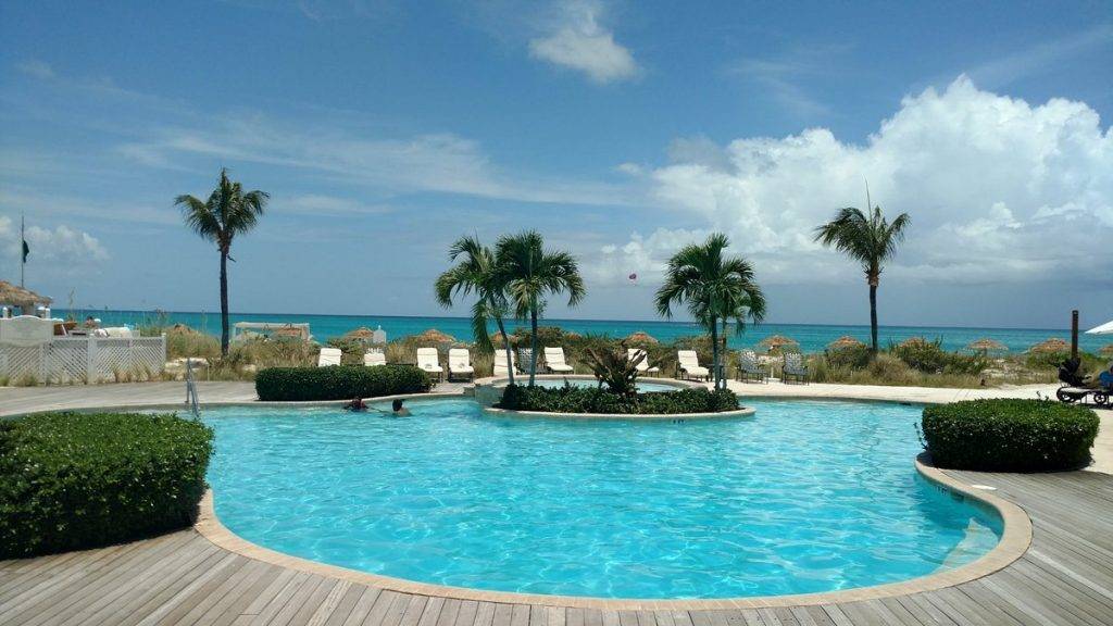 circular pool with palm trees in front of ocean