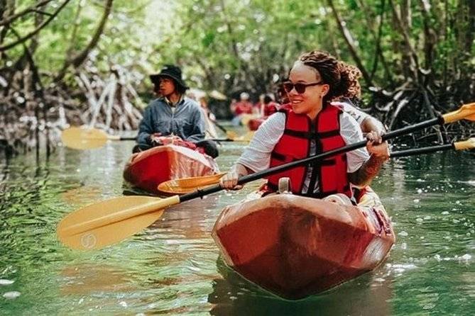 people in canoes rowing down river