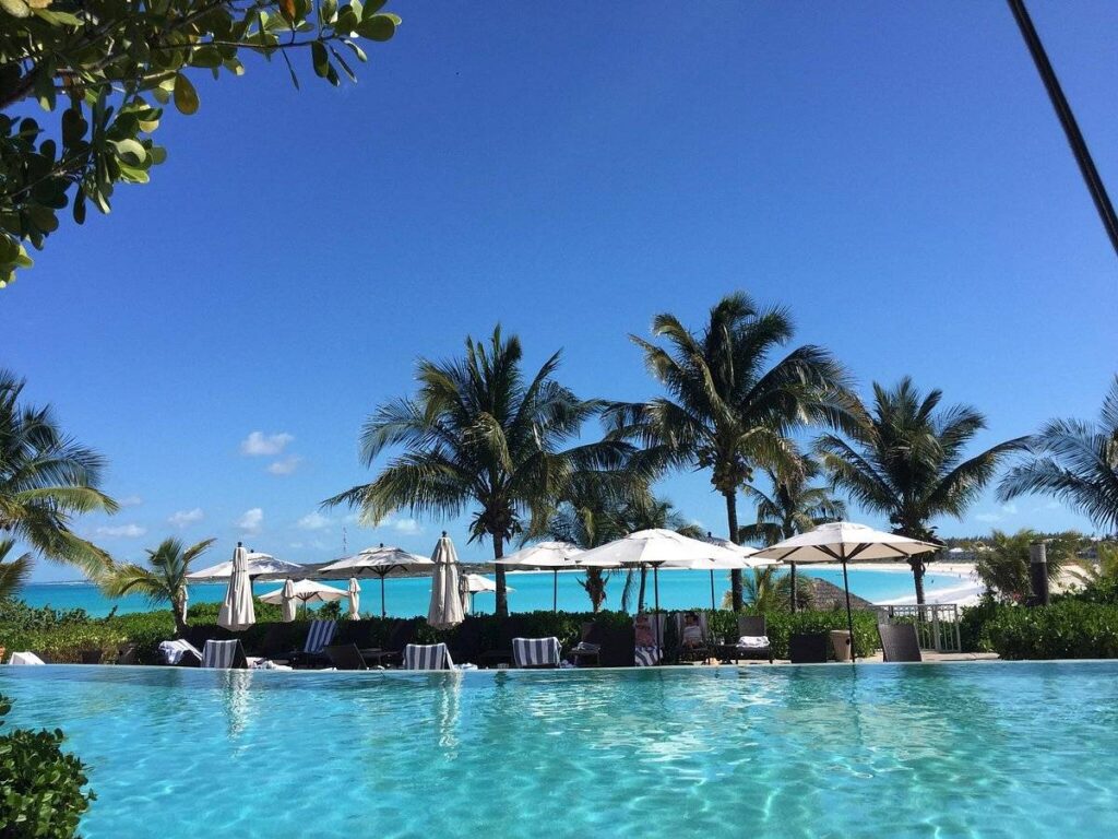 large resort pool with palm trees
