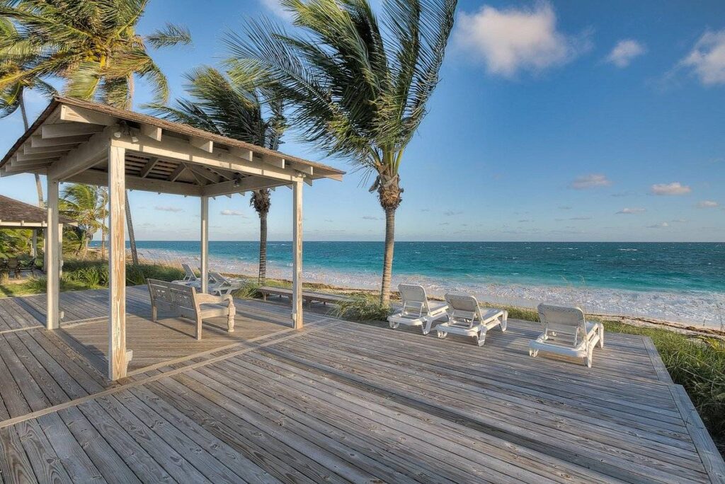 lawn chairs and palm trees along beach