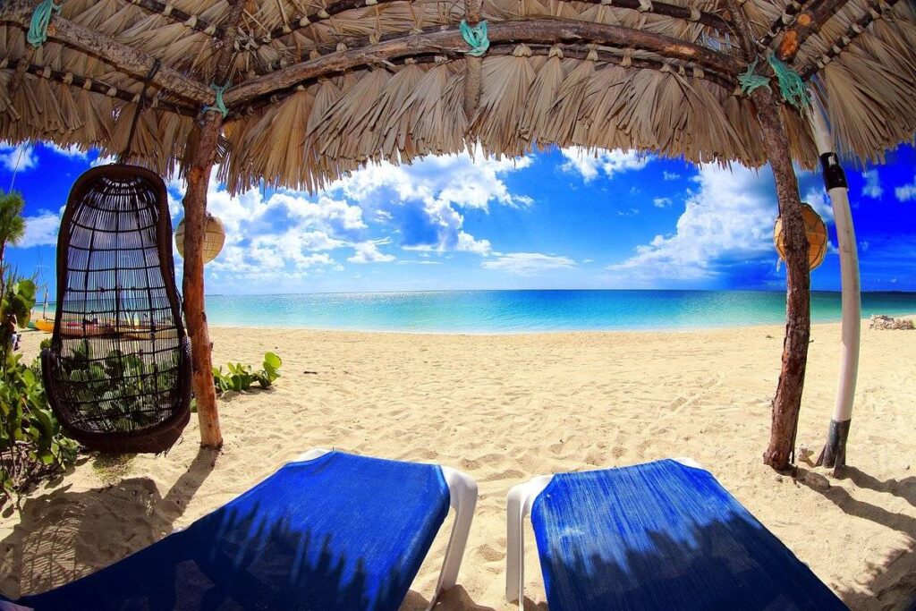 two blue lounge chairs under canopy