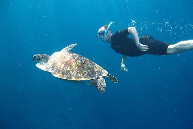 man snorkeling with turtle