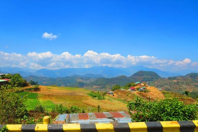 fields with mountains in background