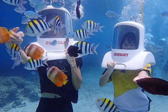 people with helmet gear surrounded by tropical fish
