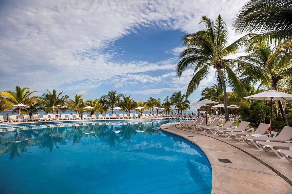 resort pool with lots of lounge chairs and palm trees