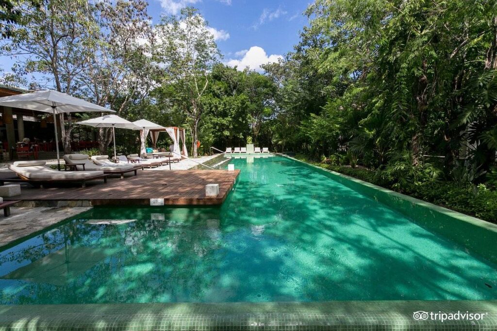 Long resort pool with trees