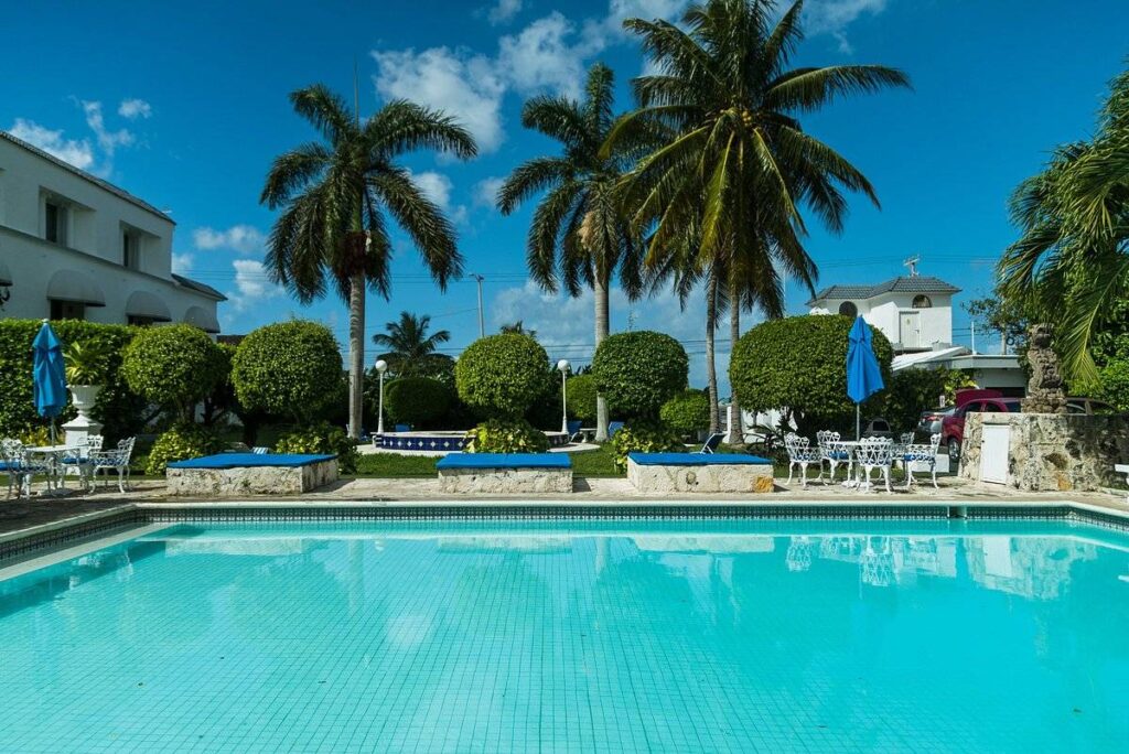 resort pool with palm trees