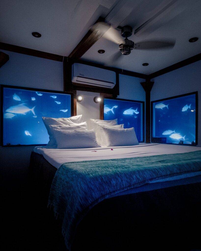 hotel bed with fish swimming behind it