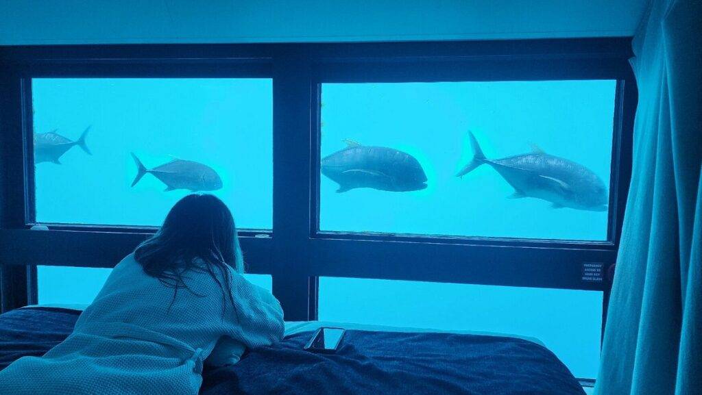 woman laying on bed looking at fish through window