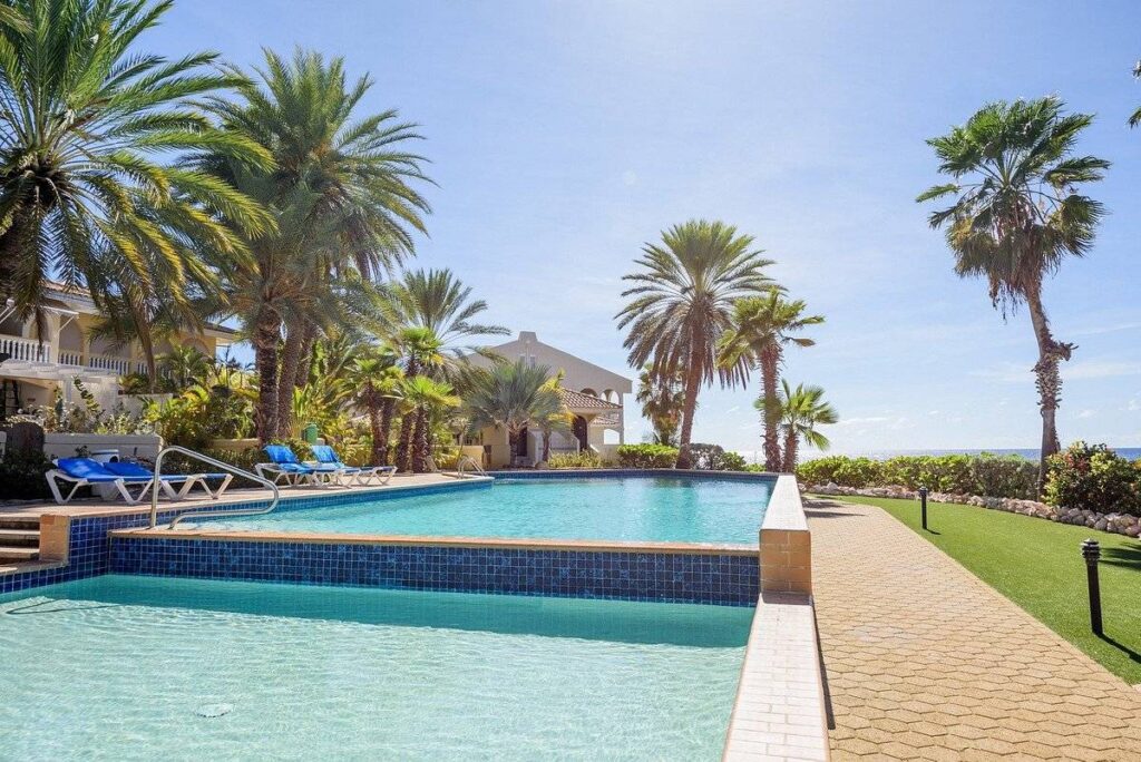 two level swimming pool with palm trees