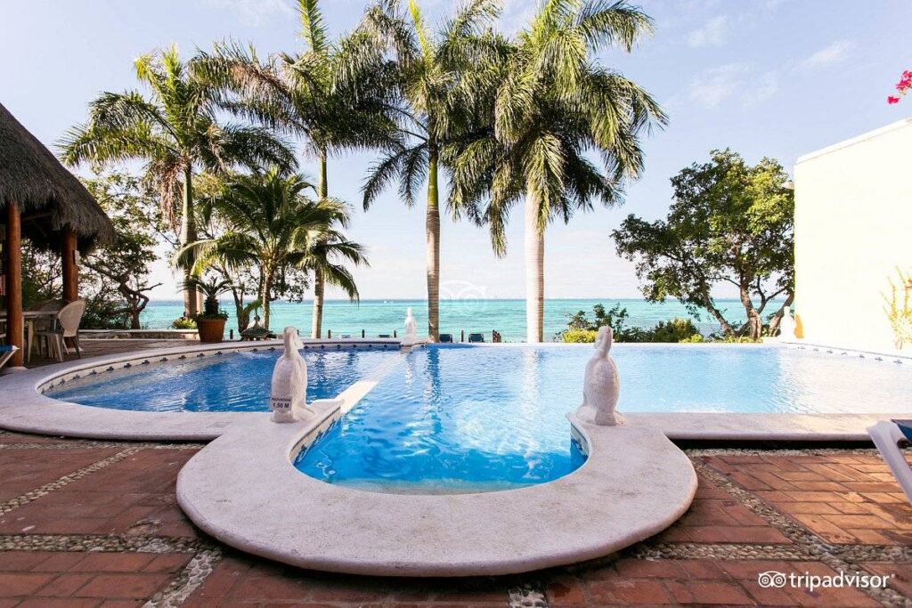 resort pool lined with palm trees