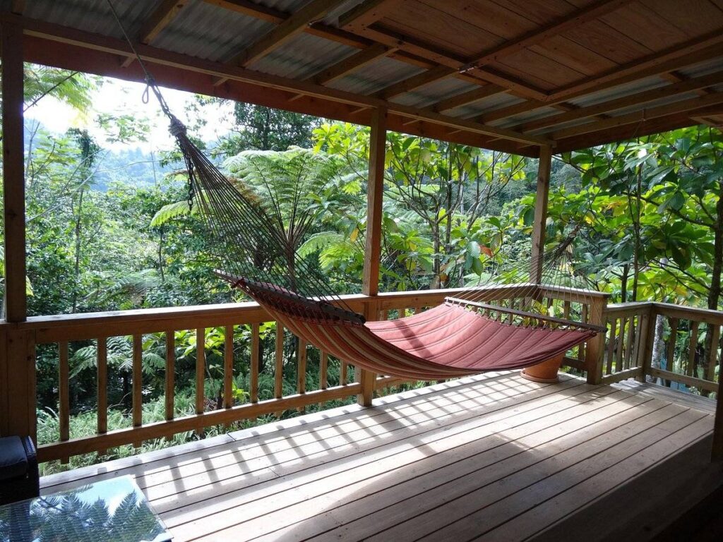 hammock on wooden deck in the jungle