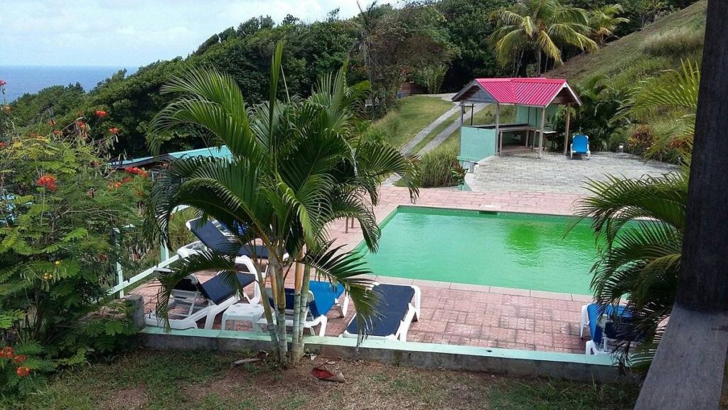 pool in jungle on a mountain