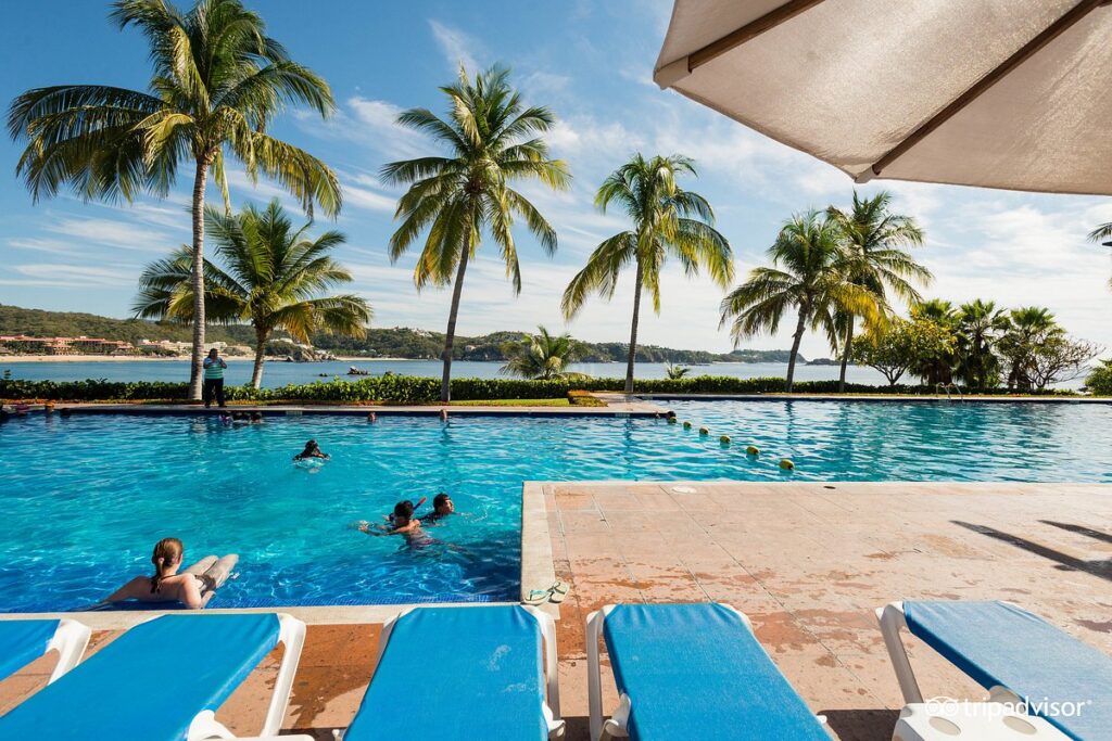 resort pool lined with palm trees
