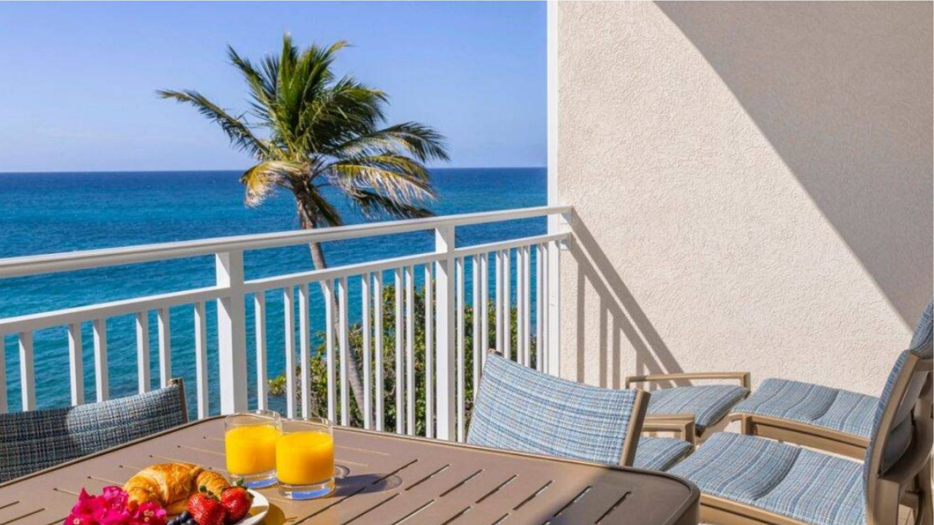 resort balcony overlooking ocean and palm tree with fruit and orange juice on the table